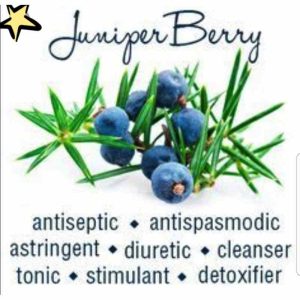 Juniper berries