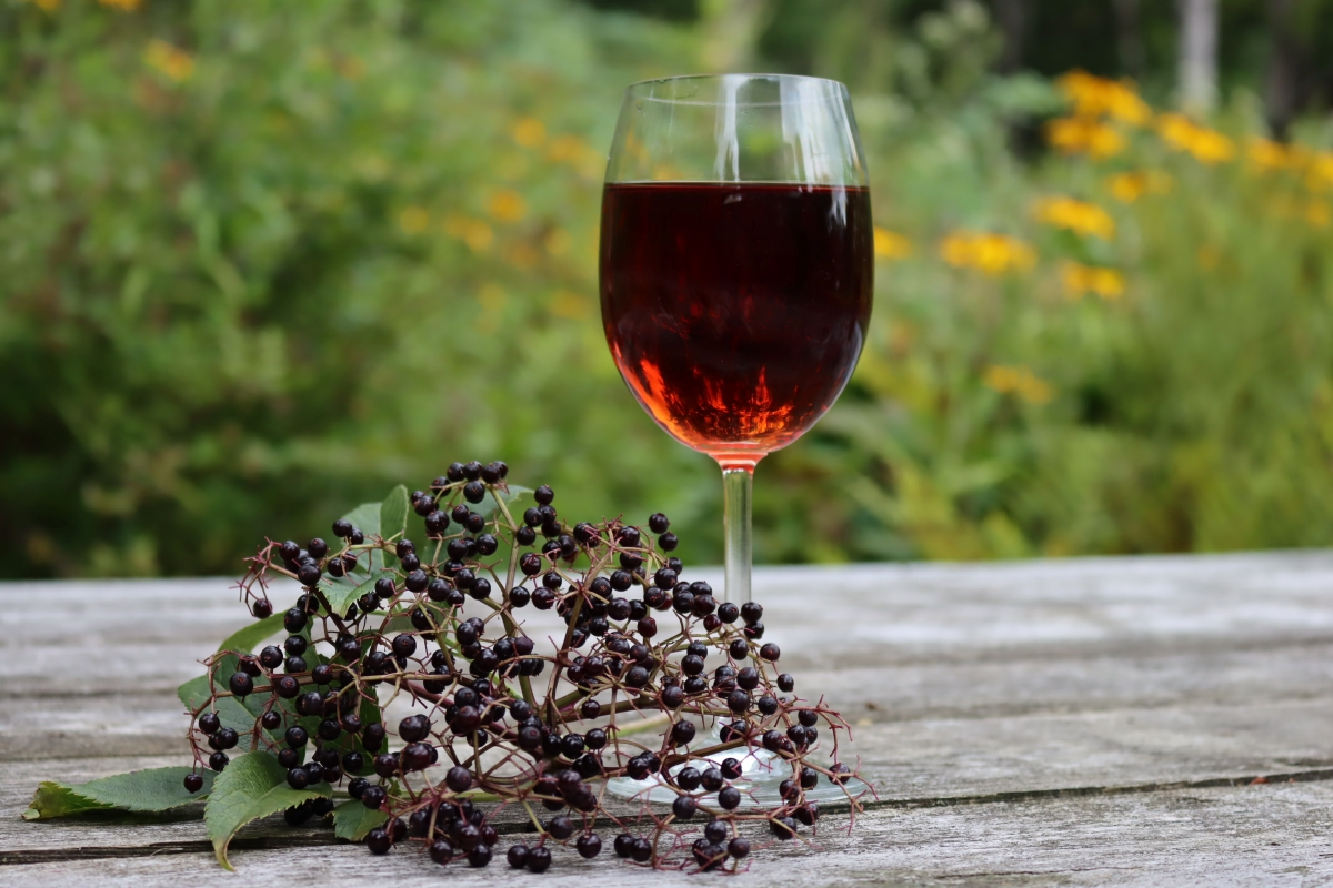 Elderberry Wine